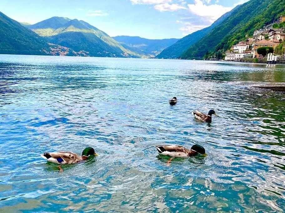 Una Terrazza Sul Lago Argegno 0*,